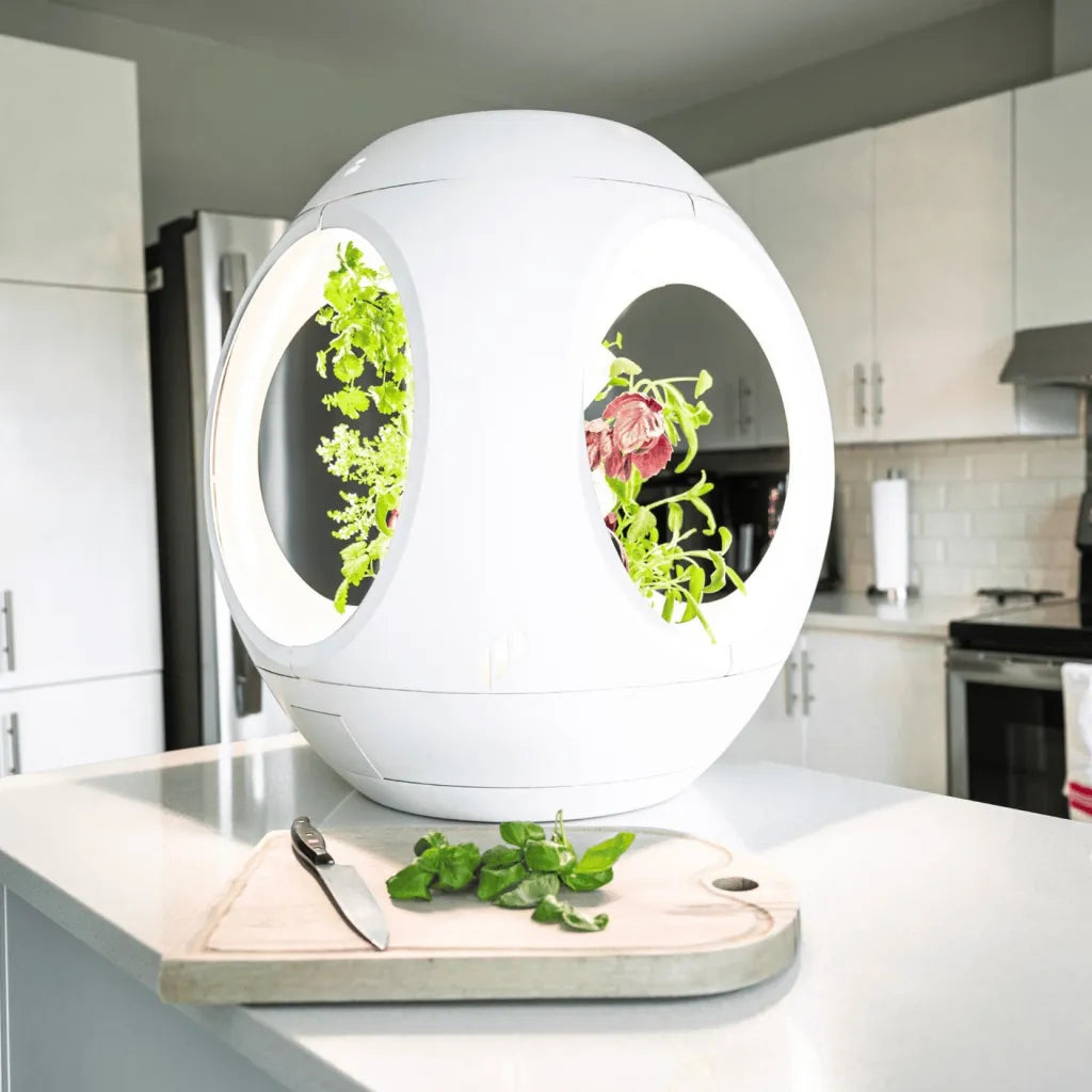 Home improvment:
